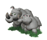 Gif animé rhinocéros et bébé rhinocéros
